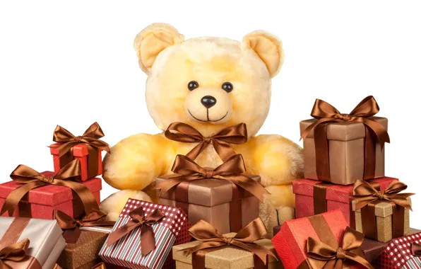 Bear, gifts, plush