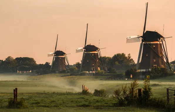 Field, the sky, trees, fog, morning, the fence, mill, Netherlands