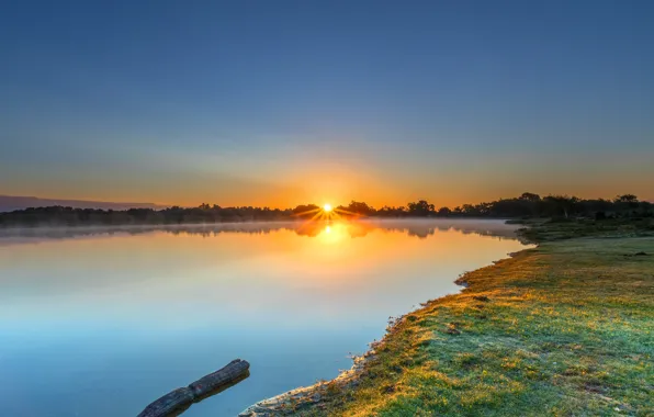 Summer, the sun, sunset, blue, shore, log, pond