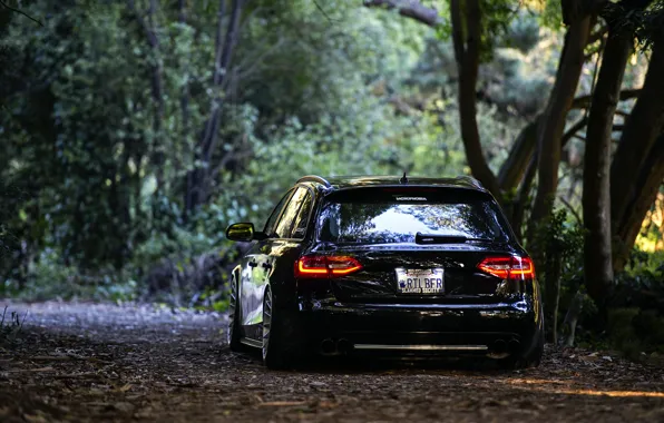 Picture Audi, black, rear, wagon, stance, before