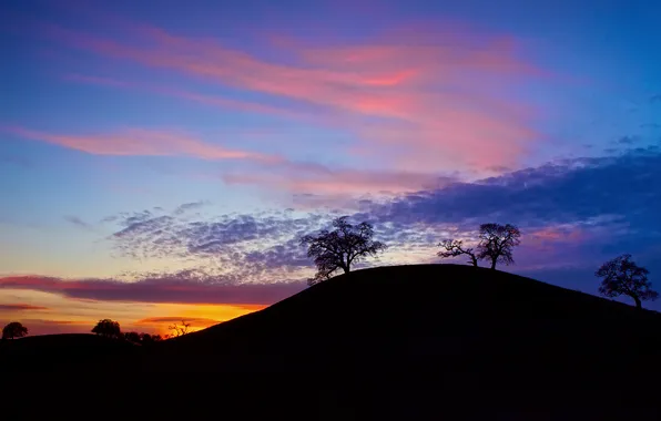 The sky, clouds, trees, sunset, hills, the evening, sleety