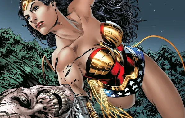 Wonder Woman, DC Comics, Diana, Diana, Wonder woman, Amazon