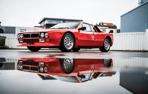 Lancia, Rally, reflection, puddle, 1981, Lancia Rall Stradale 037 Stradale