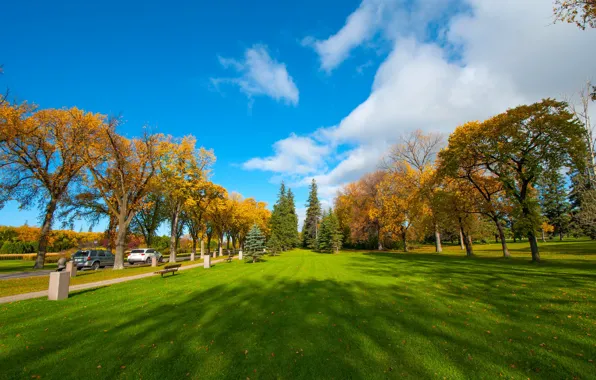 Picture autumn, the sky, grass, leaves, clouds, trees, Park, car