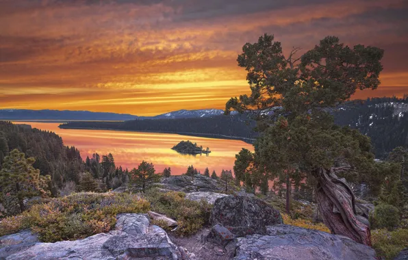 Wallpaper Sunset Stones Shore Pond Pine For Mobile And Desktop