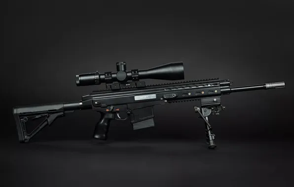 Optics, black background, rifle, sozhki