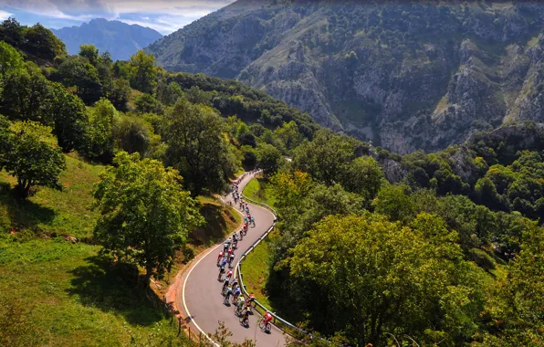 Picture Spain, Cycling, The peloton, Vuelta