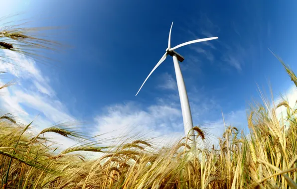 Picture field, power, energy, wind, wind turbine