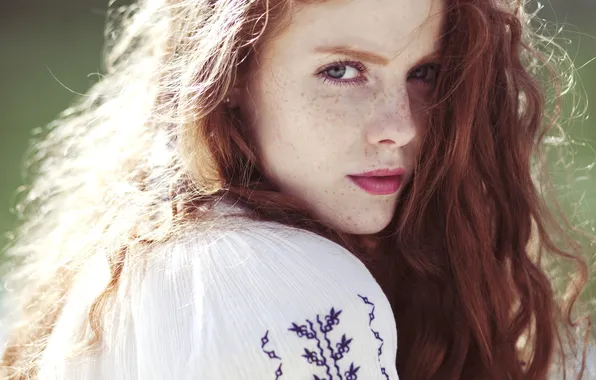 Picture face, hair, portrait, freckles, red