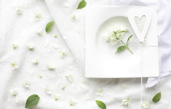 White, heart, Jasmine