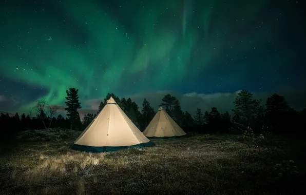 Picture forest, the sky, trees, night, glade, stars, Northern lights, Finland