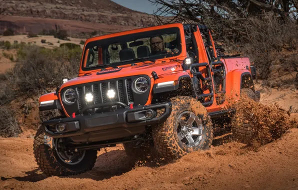 Gladiator, Jeep, Gravity, 2019