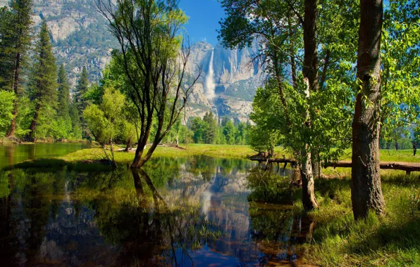 Greens, forest, the sun, trees, river, rocks, waterfall, CA