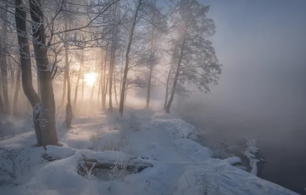Winter, snow, trees, fog, river, dawn, morning, Russia