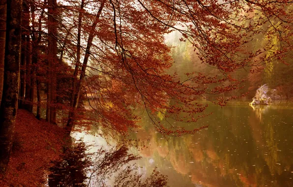 Autumn, trees, lake