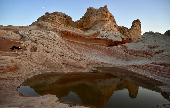The sky, canyon, pond, Svetlana Povarova Ree, When the moon rose in the sky..., ska