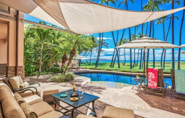 Palm trees, Villa, pool, Hawaii, terrace, villa in Honolulu