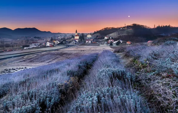 Field, the sky, sunset