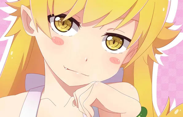 Look, girl, Bakemonogatari
