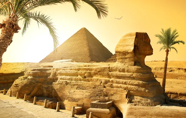 The sun, stones, palm trees, bird, desert, pyramid, Egypt, Sphinx