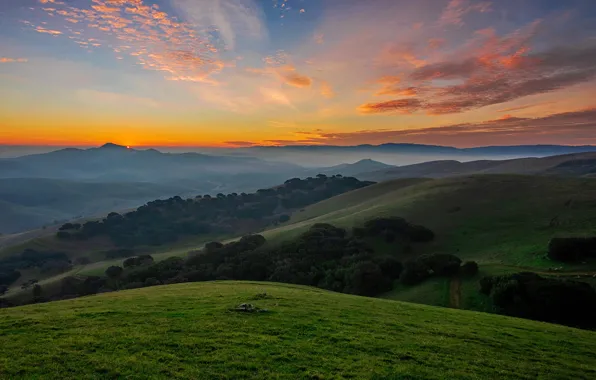 Picture forest, summer, mountains, fog, dawn, hills, tops, dal