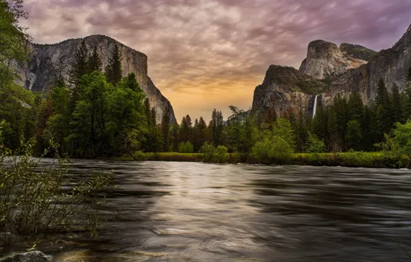 Forest, summer, the sky, clouds, trees, mountains, river, rocks