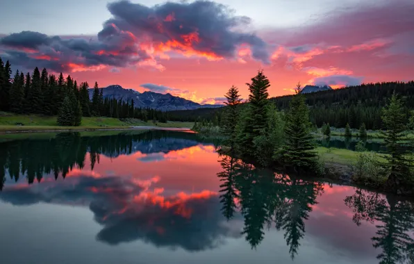 Picture forest, the sky, clouds, sunset, mountains, reflection, rocks, shore