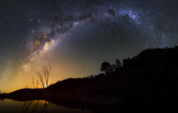 Picture space, stars, trees, the milky way