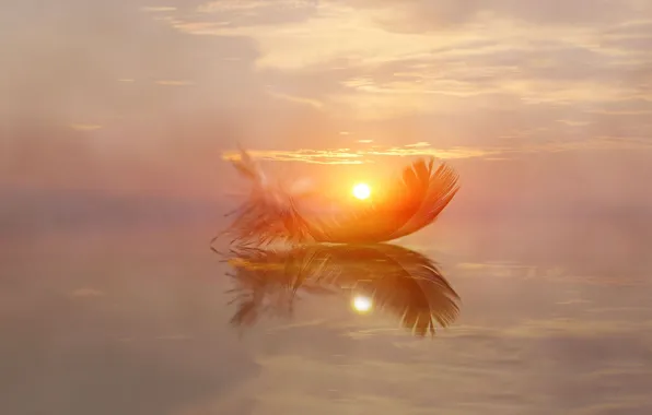 The sun, macro, sunset, nature, fog, reflection, dawn, pen