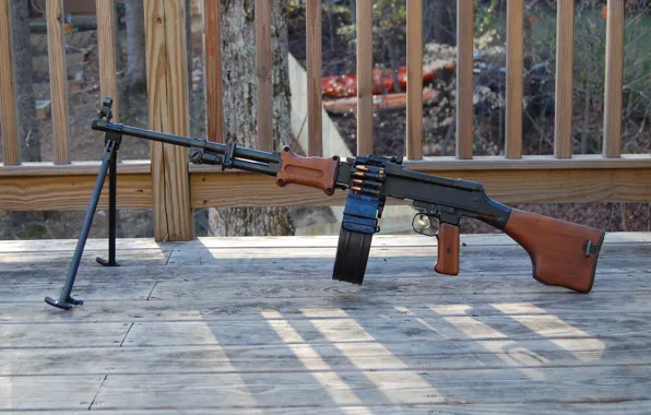 Weapons, 62 mm, Degtyareva, Machine gun