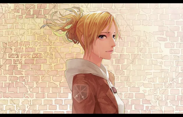 Tears, profile, emblem, brick wall, Shingeki no Kyojin, Annie Leonhart, The invasion of the giants