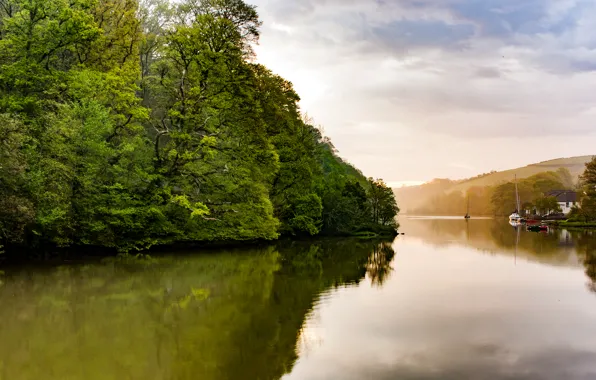 Trees, river, hills, shore, yachts, boats, UK, houses
