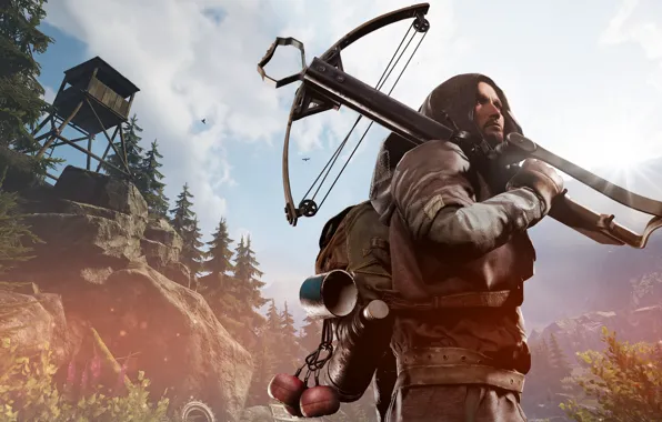 Nature, male, crossbow, Vigor