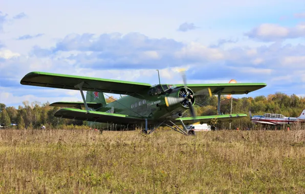 Biplane, The airfield, The plane, An-2, Maize, Taxiing, Annushka, spotting