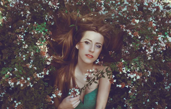 Summer, look, girl, nature, face, hair