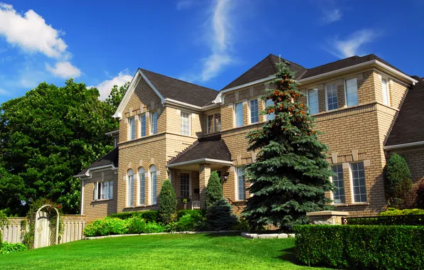 Picture grass, trees, design, house, lawn, spruce, gate, mansion