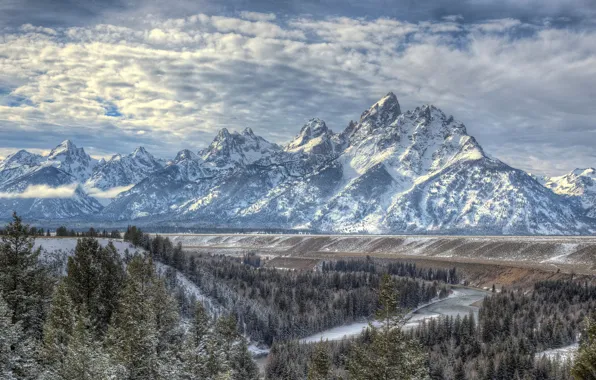 Forest, mountains, river, Wyoming, Wyoming, Grand Teton National Park, Rocky mountains, The Snake River