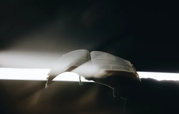 Love, Christian, God, Bible, Jesus, Shade, Holy Bible, Joel Muniz