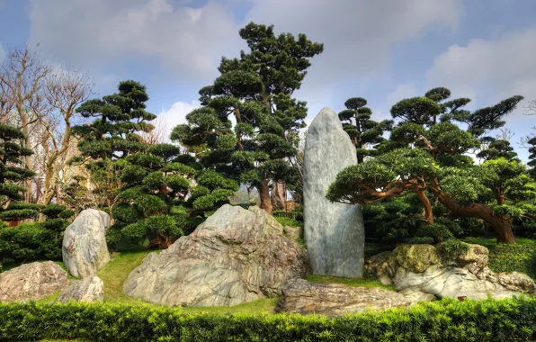 Grass, trees, Park, stones, Hong Kong, China, Nan Lian Garden