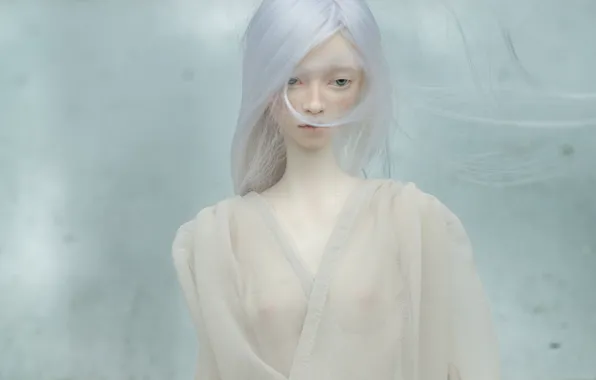 Face, hair, doll