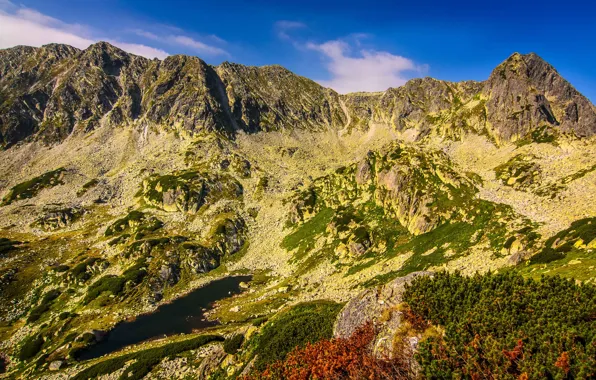 Picture the sky, clouds, mountains, plant, slope