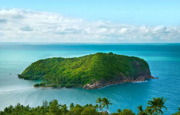 Picture the sky, clouds, landscape, nature, the ocean, island, plants, horizon