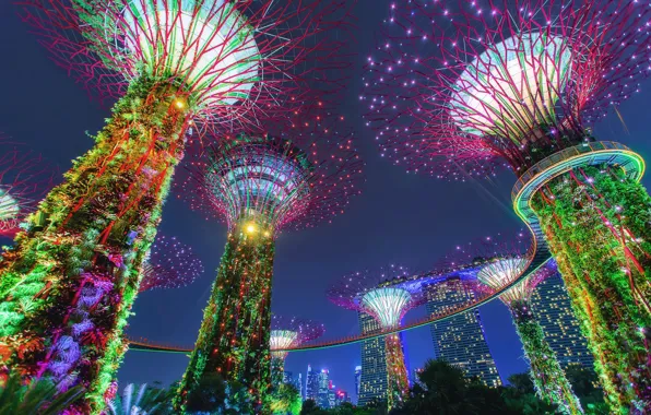 Park, Singapore, illumination, Singapore, Gardens by the Bay, Gardens by the Bay, sverkhderzhava, Supertree Grove