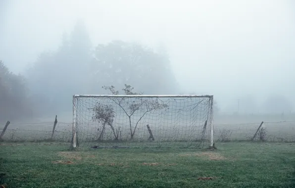 Picture field, fog, football, sport, gate