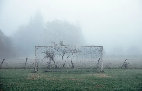 Field, fog, football, sport, gate