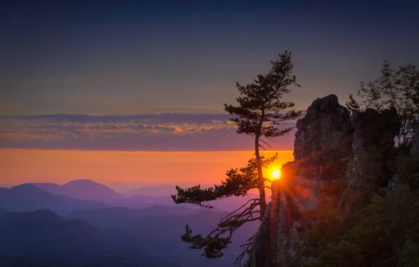 The sky, sunset, mountains, rock, tree, pine