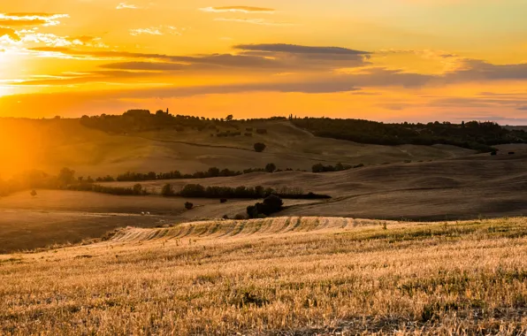 Picture field, light, sunset
