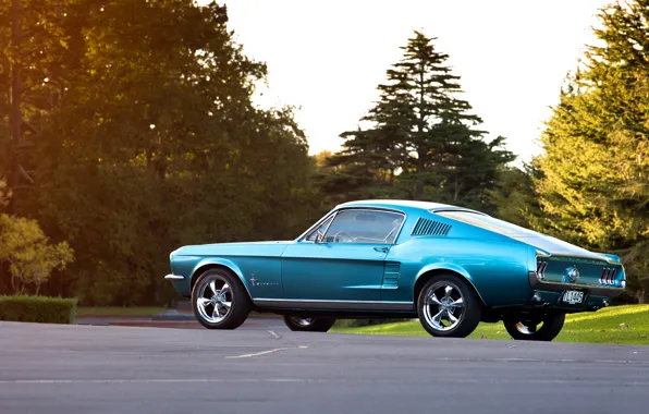 Blue, Mustang, Ford, 1967, Fastback, side