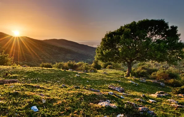 The sun, rays, sunset, tree, hills, spring, Italy, Italy