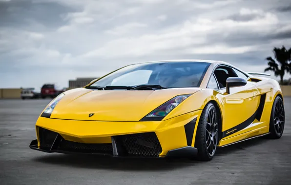 Lamborghini, Superleggera, Gallardo, the front, Yellow, Supercar